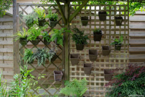 Extension of the fern wall