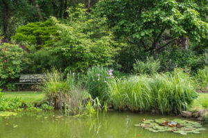 Jardin La Péfolière