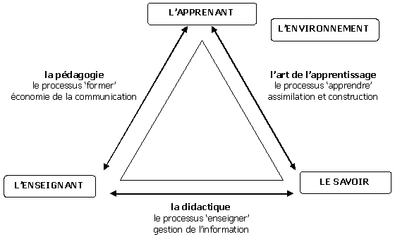 theseNet08.png