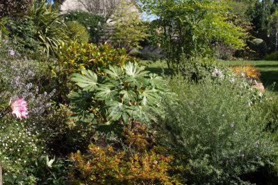 Juste déménagé vers bordure sud-ouest