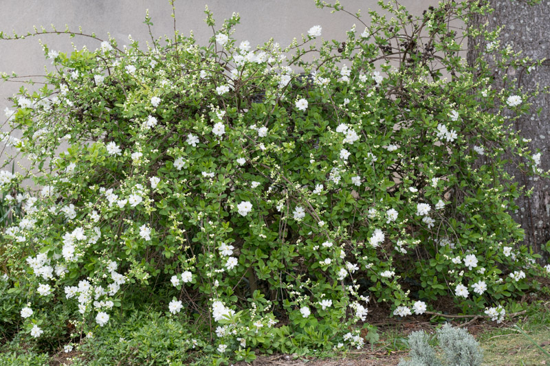 printemps 2024