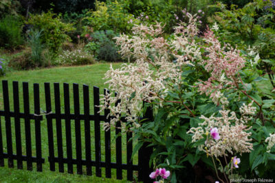 Jardin de Christelle