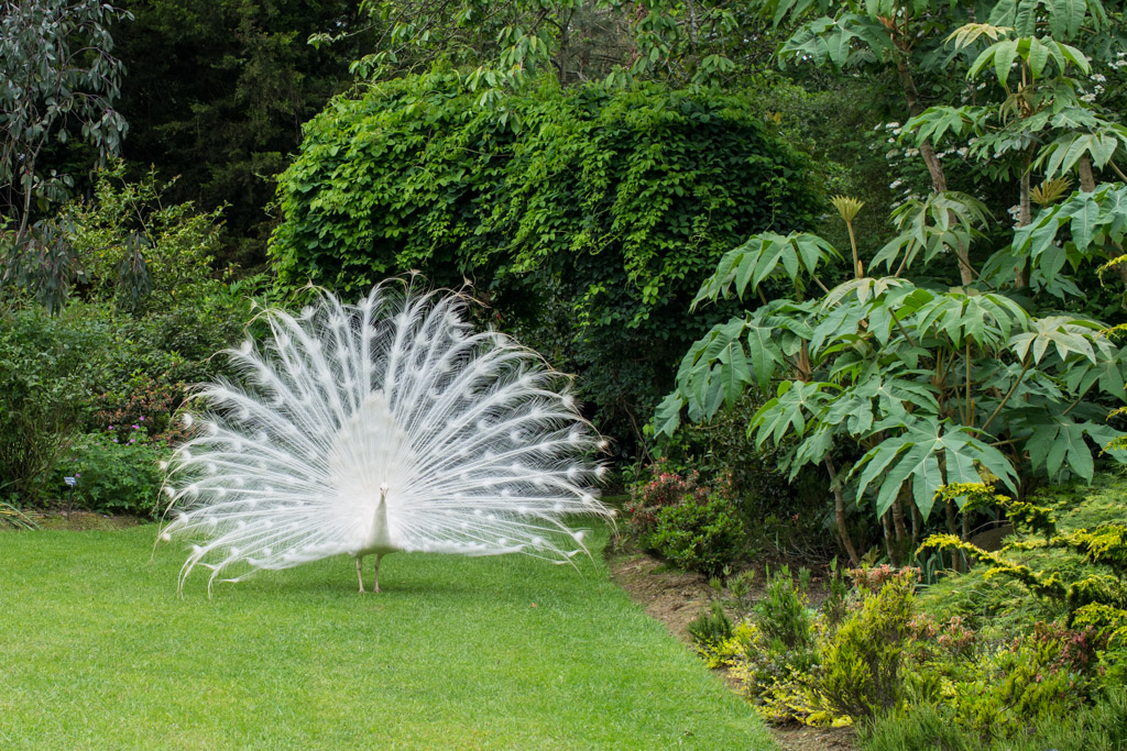 La Péfolière Garden