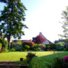Morning light over the garden in early May