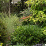 18/08/2025 La pergola vue depuis la terrasse