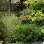 18/08/2025 La pergola vue depuis la terrasse