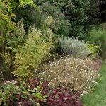 18/08/2025 Bordure Est vue du Nord