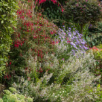 18/08/2025 Bordure Ouest vue depuis le Sud