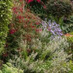 18/08/2025 Bordure Ouest vue depuis le Sud