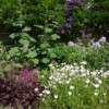 West border in full bloom