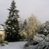 <em>Ancien jardin</em> 26/11/2005 <em>Ancien jardin</em> 26/11/2005