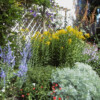 <em>Ancien jardin</em> 28/06/2003 <em>Ancien jardin</em> 28/06/2003