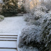 <em>Ancien jardin</em> 28/12/2005