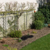 <em>Evolution bordure Ouest 2016-2017</em> 16/03/2017 Le sol est prêt pour les nouvelles pantations