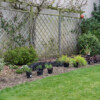 <em>Evolution bordure Ouest 2016-2017</em> 17/03/2017 Placement provisoire des plantes pour juger de l'effet