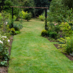<em>Visie du</em> 19/08/2021 Jardin de Christelle