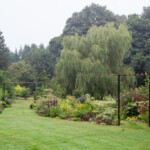 <em>Visie du</em> 19/08/2021 Jardin de Christelle