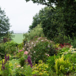 <em>Visie du</em> 19/08/2021 Jardin de Christelle