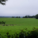 Jardin de Christelle