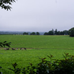 <em>Visie du</em> 19/08/2021 Jardin de Christelle