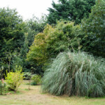 <em>Visie du</em> 19/08/2021 Jardin de Christelle