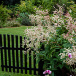 <em>Visie du</em> 19/08/2021 Jardin de Christelle