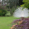 Jardin La Péfolière