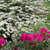 Jardin La Péfolière