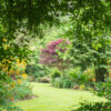 Jardin La Péfolière