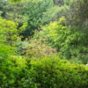 Jardin La Péfolière