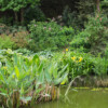 Jardin La Péfolière