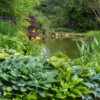 Jardin La Péfolière