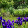 Jardin La Péfolière