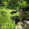 Jardin La Péfolière