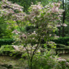 Jardin La Péfolière