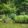 Jardin La Péfolière