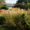 <em>Visite du</em> 16/10/2016 Jardin "La Maison" - Mégrit