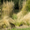 <em>Visite du</em> 16/10/2016 Jardin "La Maison" - Mégrit
