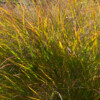 <em>Visite du</em> 16/10/2016 Jardin "La Maison" - Mégrit