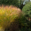 <em>Visite du</em> 16/10/2016 Jardin "La Maison" - Mégrit