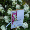 <em>Visite du</em> 17/09/2016 Délices de Plantes - Cesson-Sévigné