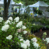 <em>Visite du</em> 17/09/2016 Délices de Plantes - Cesson-Sévigné
