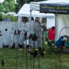 <em>Visite du</em> 17/09/2016 Délices de Plantes - Cesson-Sévigné