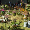 <em>Visite du</em> 17/09/2016 Délices de Plantes - Cesson-Sévigné
