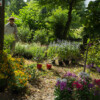 <em>Visite du</em> 17/09/2016 Délices de Plantes - Cesson-Sévigné