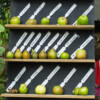 <em>Visite du</em> 17/09/2016 Délices de Plantes - Cesson-Sévigné