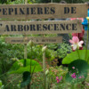 <em>Visite du</em> 17/09/2016 Délices de Plantes - Cesson-Sévigné
