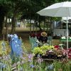 Délices de Plantes - Cesson-Sévigné