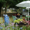 <em>Visite du</em> 17/09/2016 Délices de Plantes - Cesson-Sévigné
