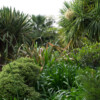 Jardin du Pellinec